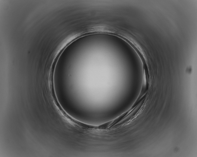 X0000096151293200801181154