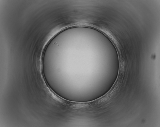 X0000096151294200801181154