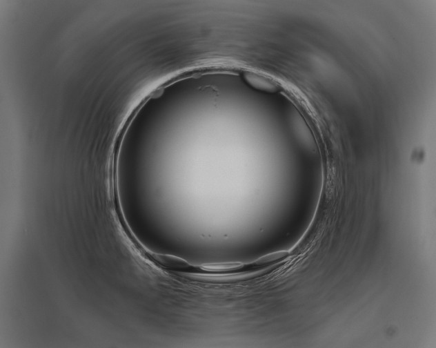 X0000096151295200801181154