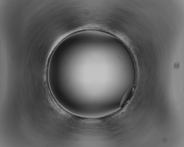 X0000096151296200801181154