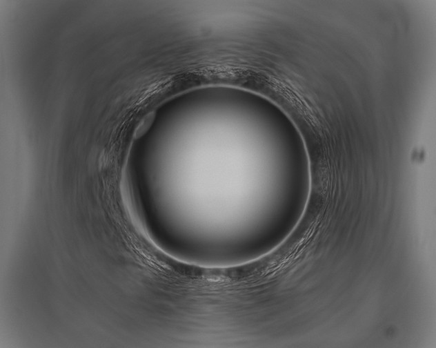 X0000096151297200801181153
