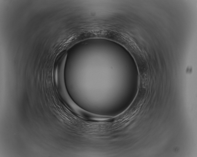 X0000096151298200801181153