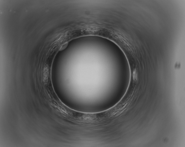 X0000096151299200801181153