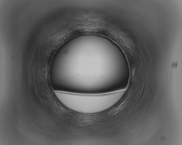 X0000096151300200801181153