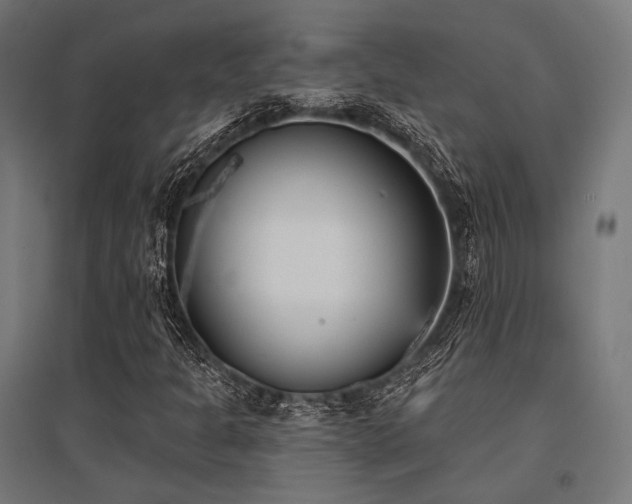 X0000096151301200801181153
