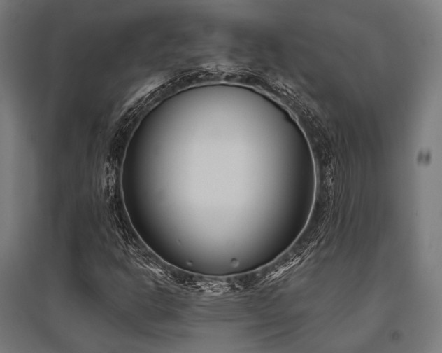 X0000096151302200801181153