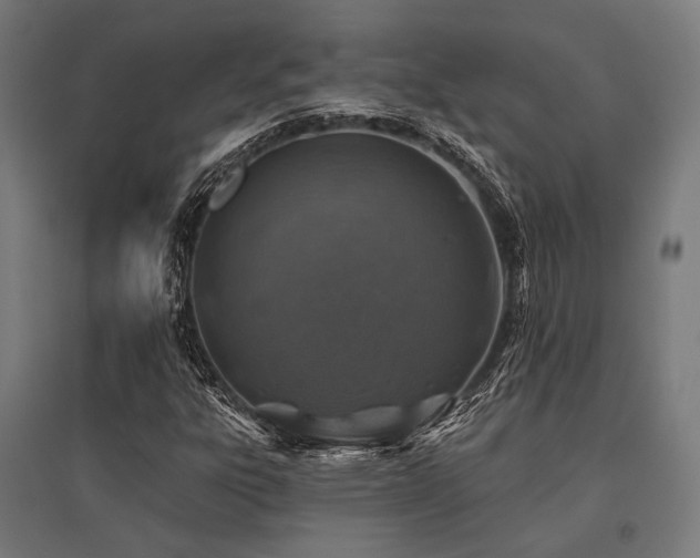 X0000096151303200801181153