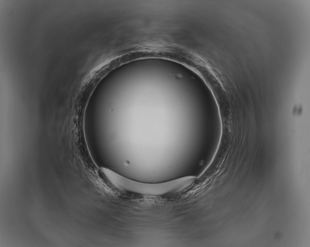 X0000096151304200801181153
