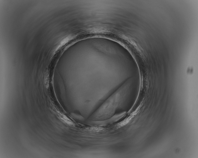 X0000096151306200801181153