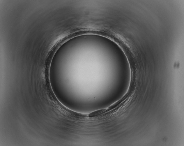 X0000096151307200801181153