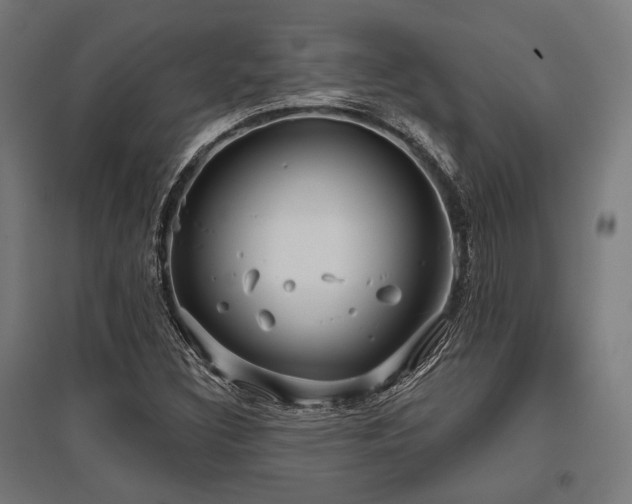 X0000096151308200801181153