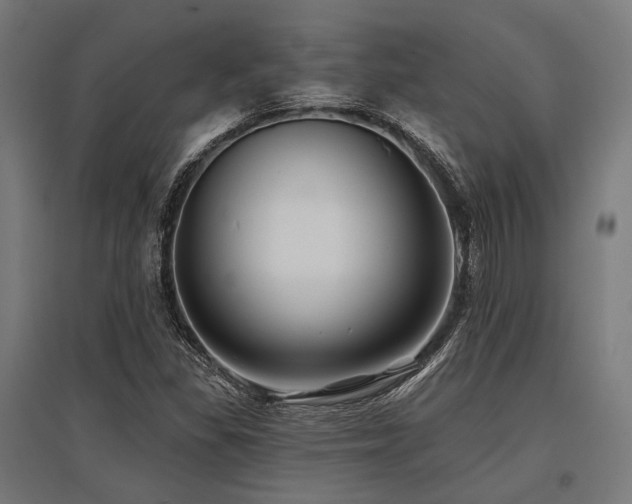 X0000096151309200801181153