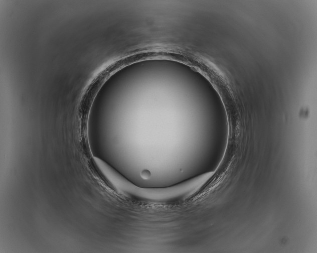 X0000096151310200801181153