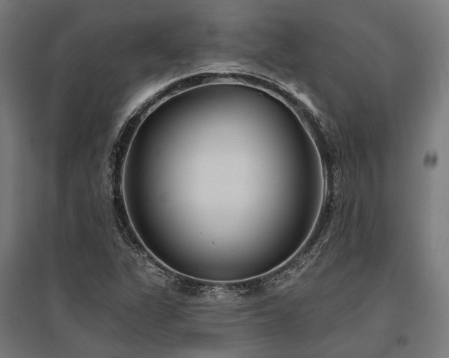 X0000096151311200801181153