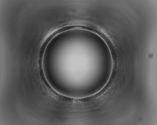 X0000096151312200801181153
