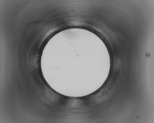X0000096151314200801181153