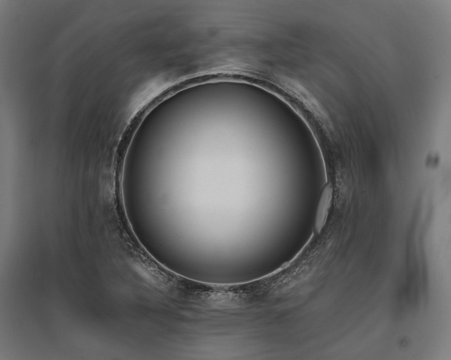 X0000096151316200801181153