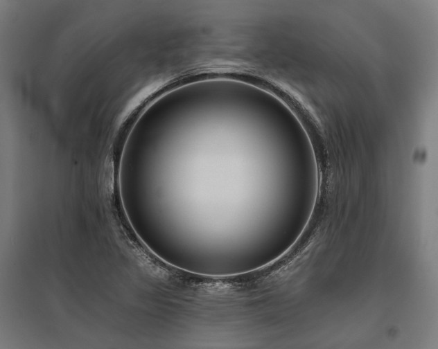 X0000096151317200801181153