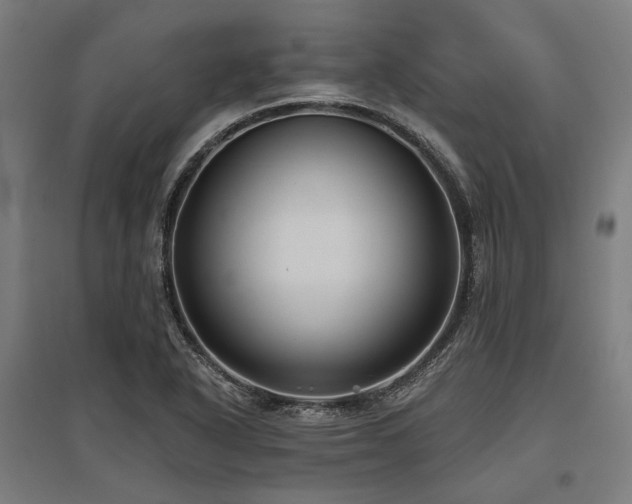X0000096151318200801181153