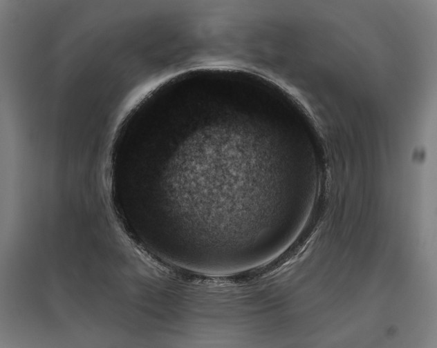 X0000096151319200801181153