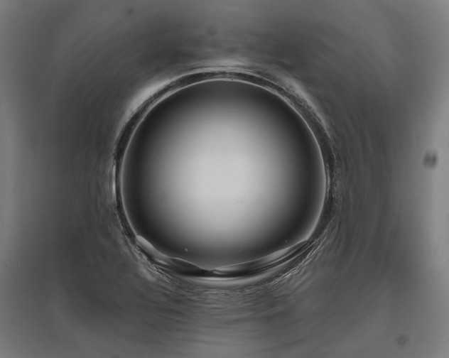 X0000096151320200801181153