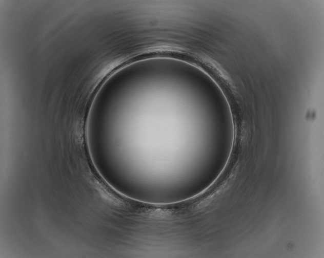 X0000096151321200801181153