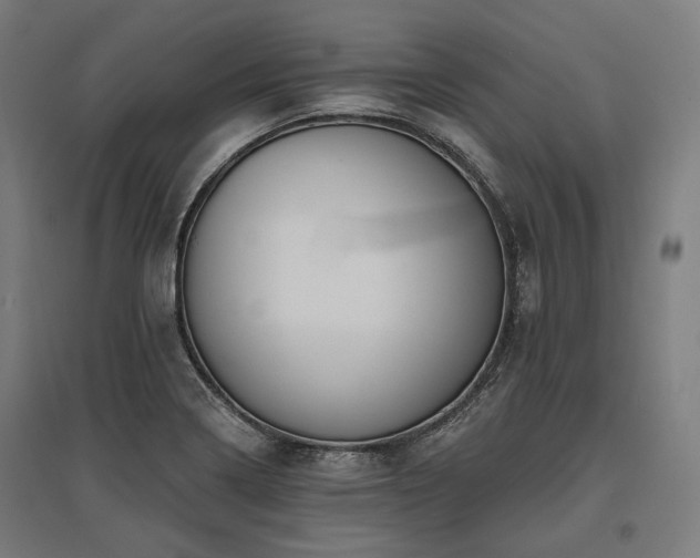 X0000096151322200801181153