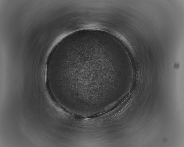 X0000096151323200801181153