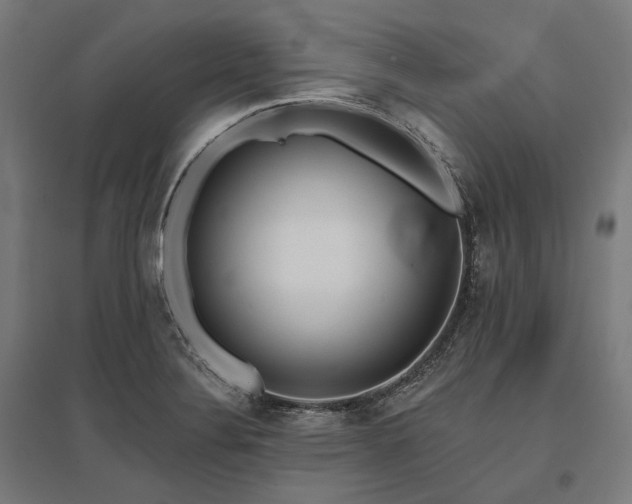X0000096151324200801181153