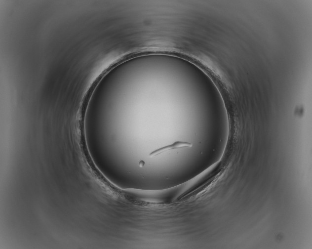X0000096151325200801181153