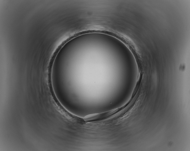 X0000096151326200801181153