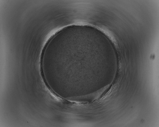 X0000096151327200801181153