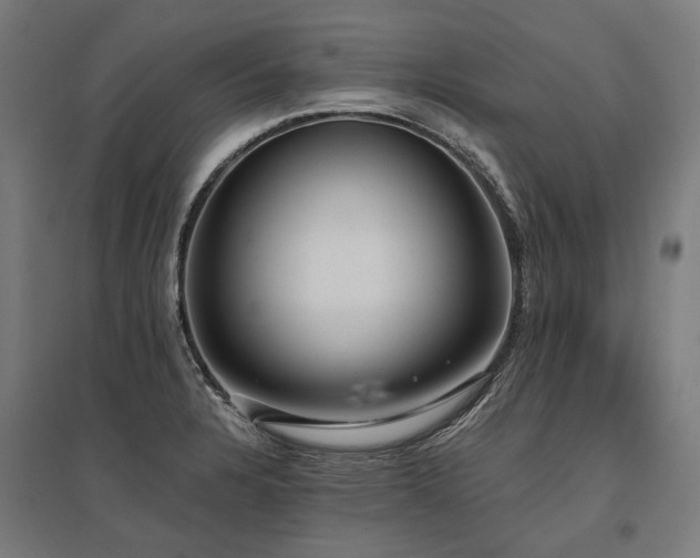 X0000096151328200801181153