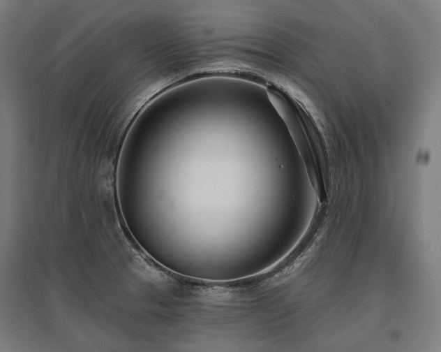 X0000096151329200801181153