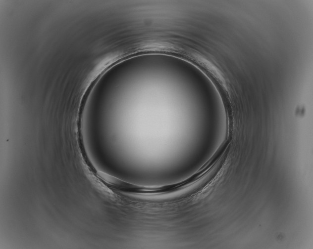 X0000096151330200801181153