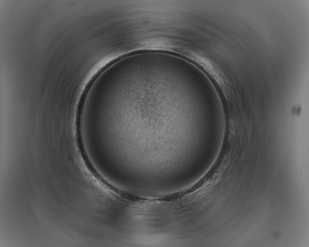 X0000096151331200801181153