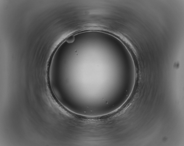 X0000096151333200801181153