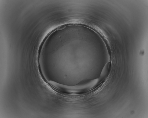 X0000096151334200801181154