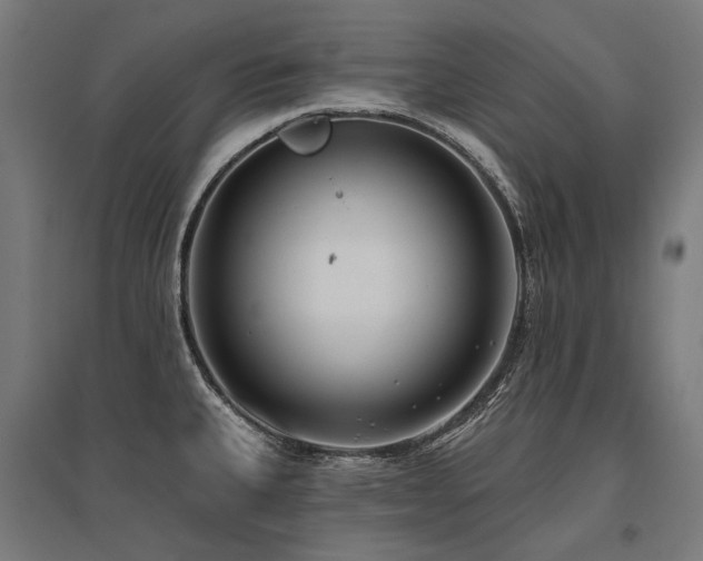 X0000096151335200801181154