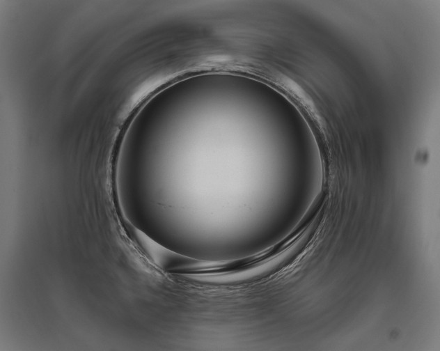 X0000096151336200801181154