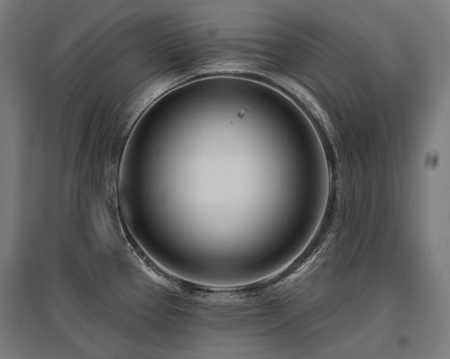 X0000096151337200801181154