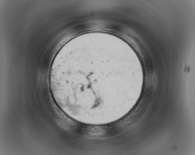 X0000096151338200801181154