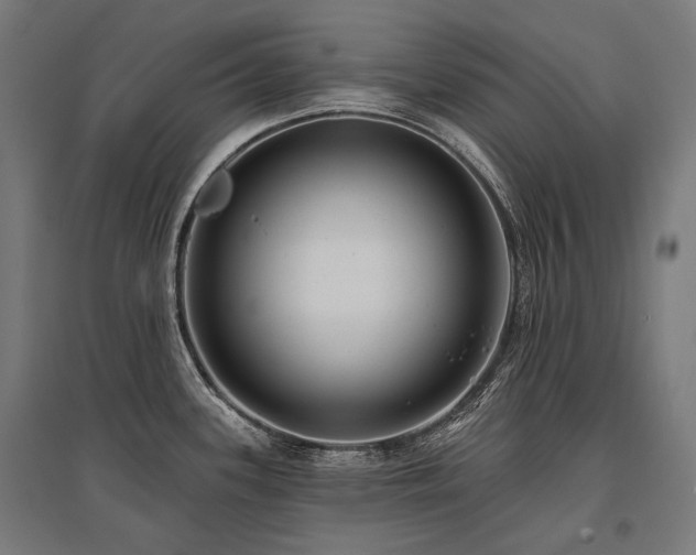 X0000096151339200801181154