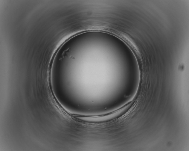 X0000096151340200801181154