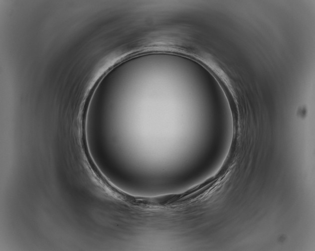 X0000096151341200801181154