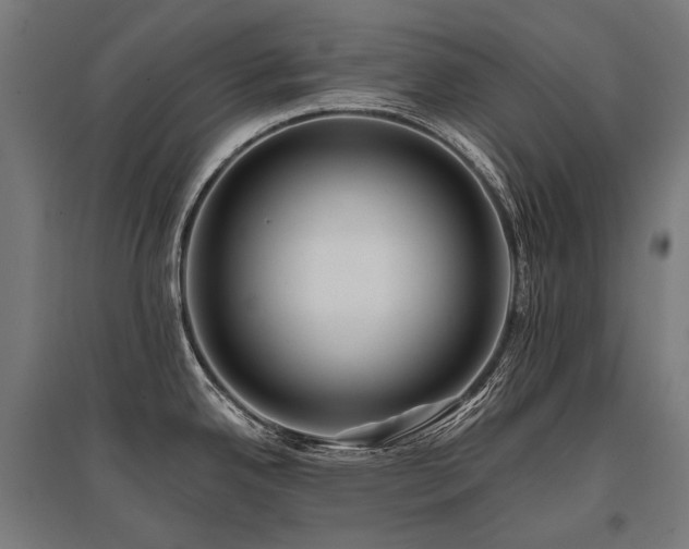 X0000096151342200801181154