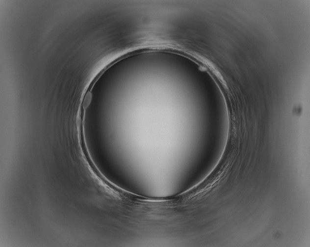 X0000096151343200801181154