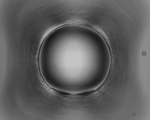 X0000096151344200801181154