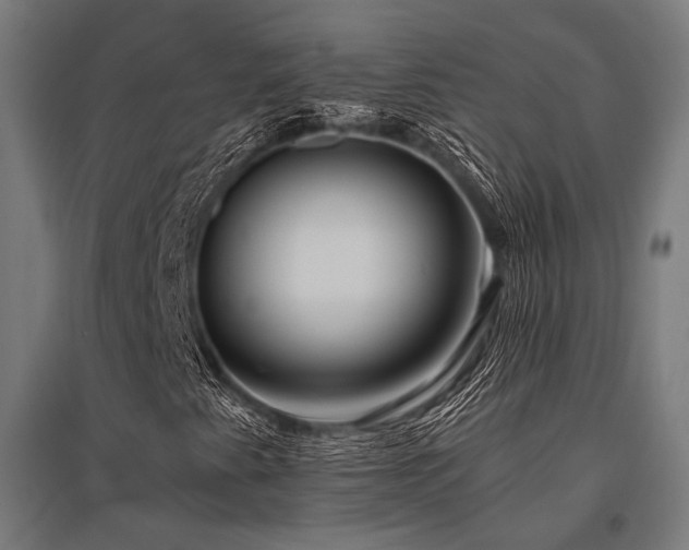 X0000096151345200801181153