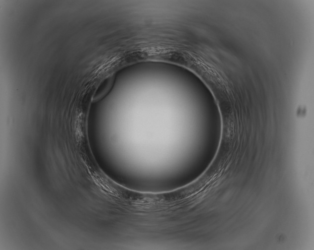 X0000096151346200801181153